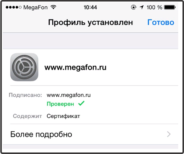 сертификат безопасности мегафон в OC iOS - 3